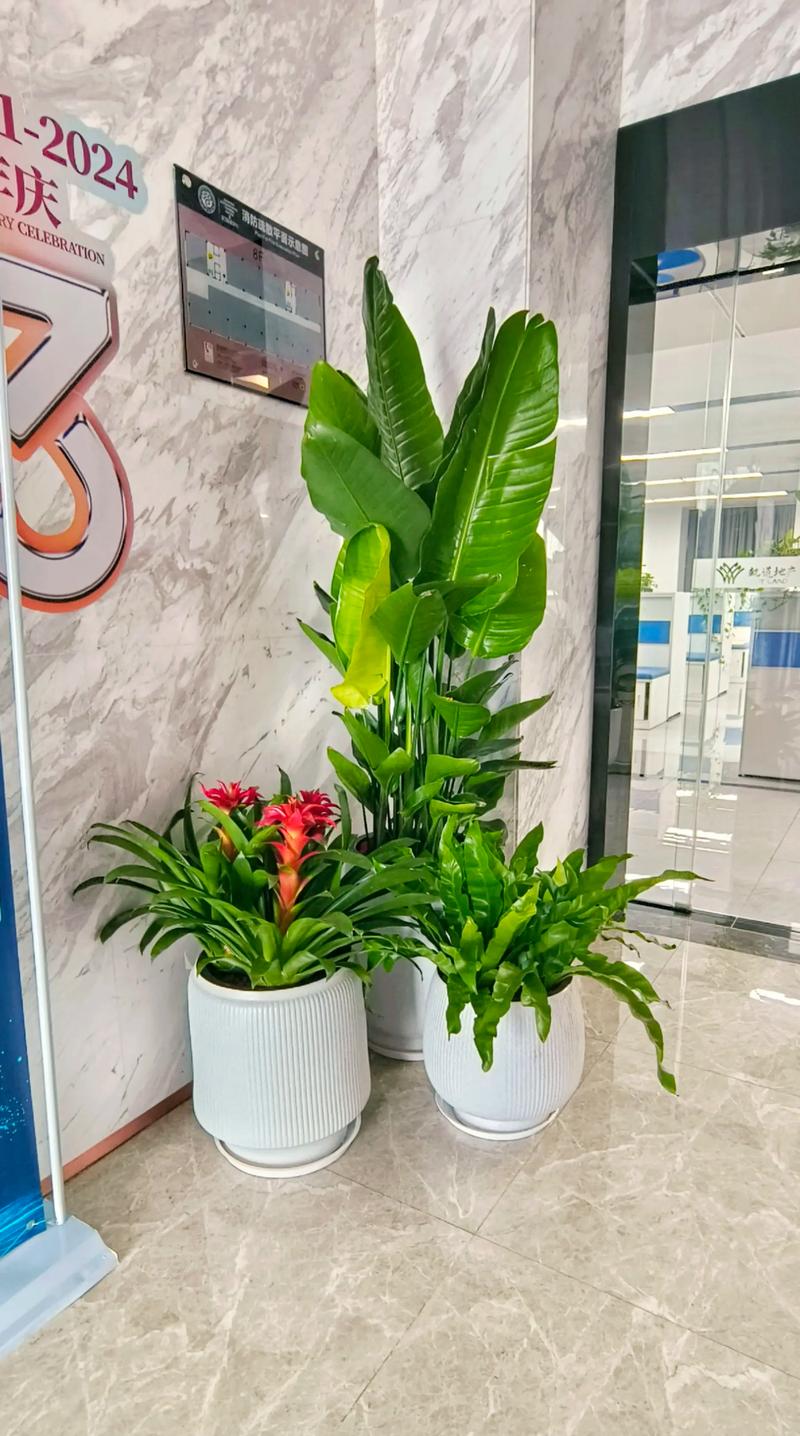 园林绿化：苗木的选择与应用