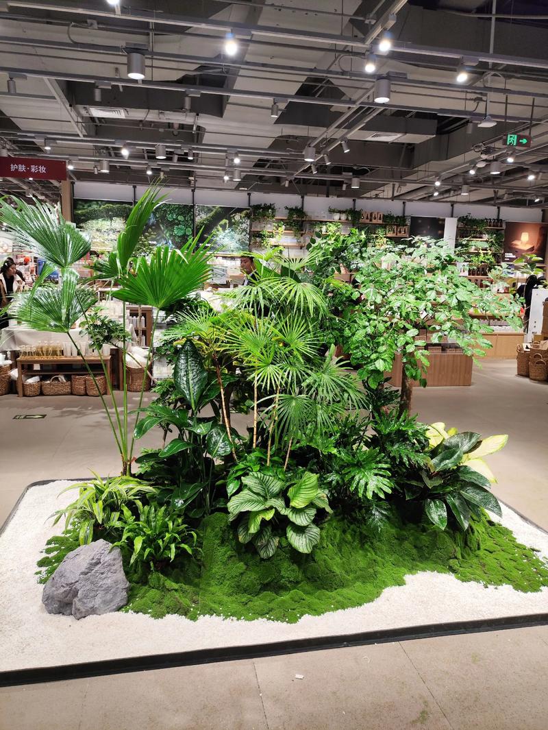 沭阳苗木产业的蓬勃发展
